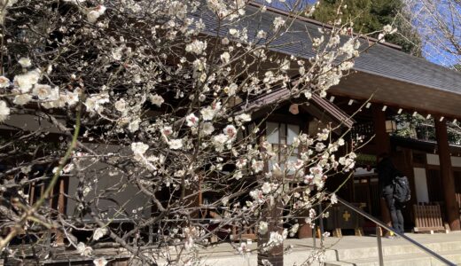 【神社仏閣57社目】夫の扶養に入る決断、春はまだ来ず泣いた日
