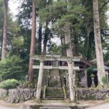 【新潟県巣守神社】参詣者を大歓迎してくれる神様と夫婦円満のエッセンスをくれるご神木