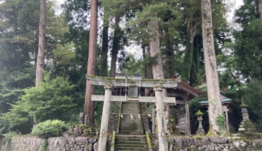【新潟県巣守神社】参詣者を大歓迎してくれる神様と夫婦円満のエッセンスをくれるご神木