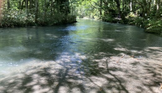 【奥入瀬】渓流と同じ高さの歩道が14キロ続く自然と一体化する場所