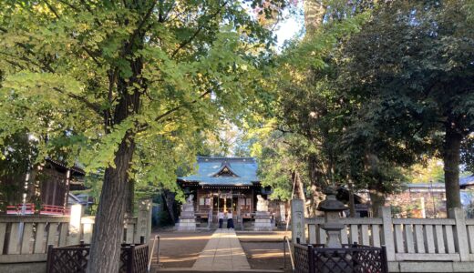 【八雲氷川神社】駒沢公園から徒歩10分、癪封じのご神木がある目黒区の鎮守