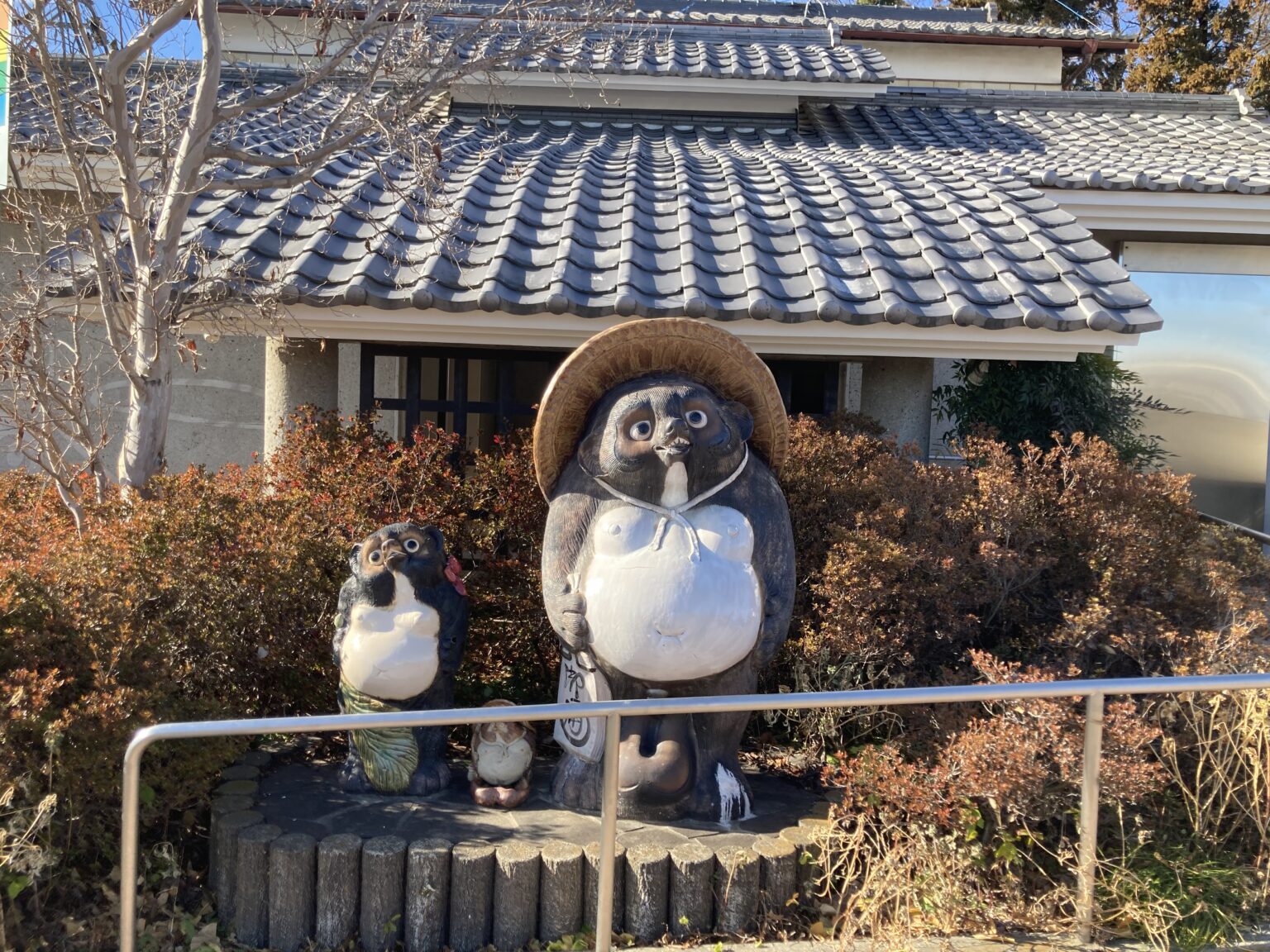 ㊸　信楽焼　たぬき　大きい　縁起物　和 アナグマ タヌキ ㊸ 信楽焼 たぬき 大きい 縁起物 和 益子焼の