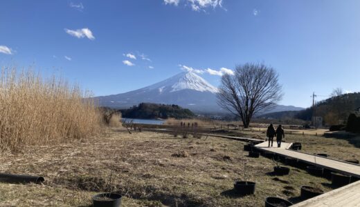 【河口湖】富士大石ハナテラスを周遊。我が家のパワースポットに決定！