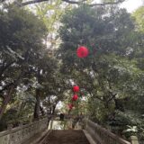 【参詣3年11ヶ月】来年起きることを知る。怖いけど前へ進む。