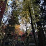 【4年1ヶ月】朝活で参詣と温泉！自分の老けた顔に驚く